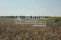 Продава ПАРЦЕЛ, област Добрич, гр. Шабла • 300000 € • 76161876 — Holmes.bg