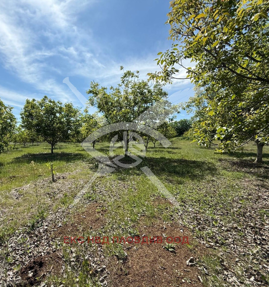 ������� ������ | Imot.bg � ����������� 2