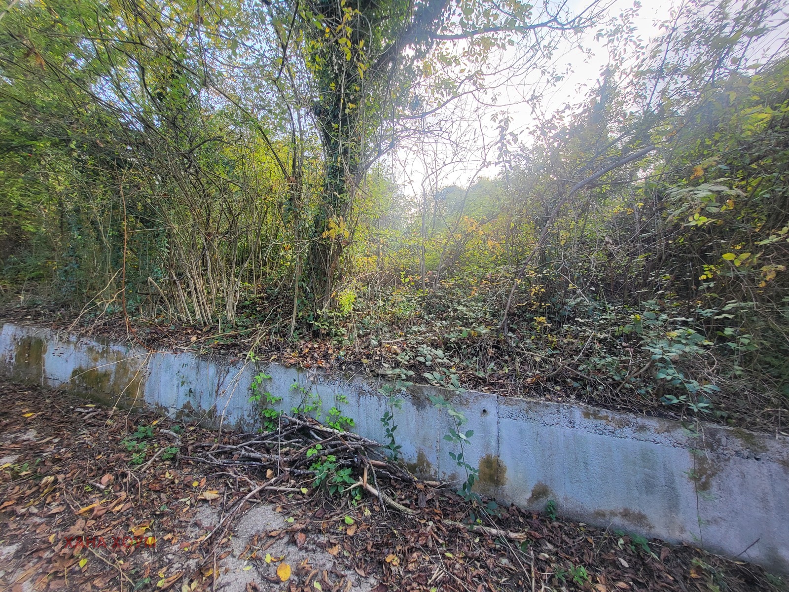 Продава ПАРЦЕЛ | Imot.bg — изображение 8