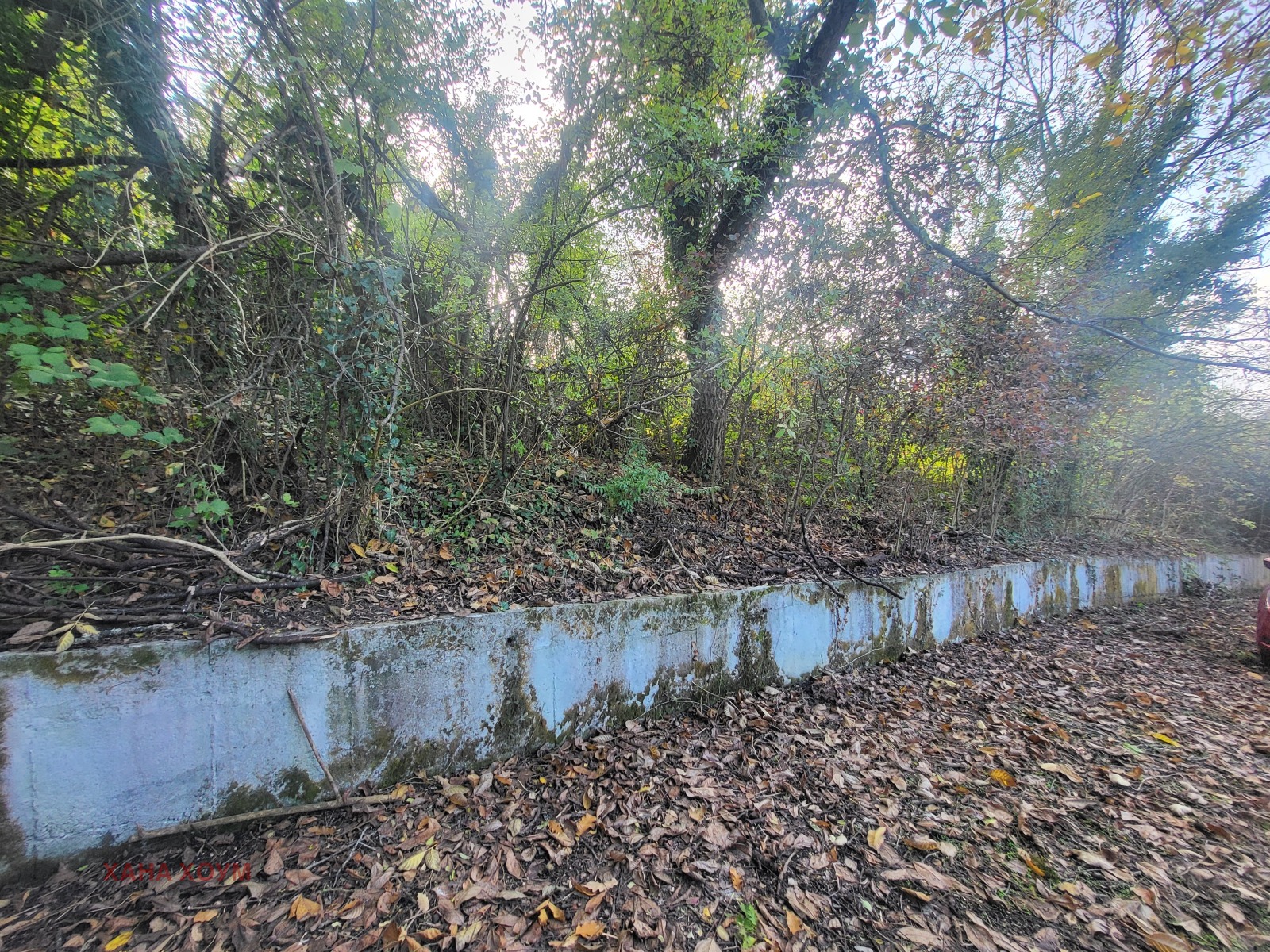 Продава ПАРЦЕЛ | Imot.bg — изображение 7