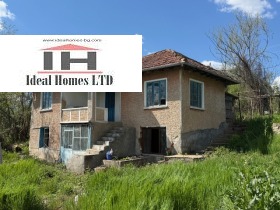 ������ ������� ����