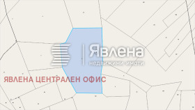 ����� ������� ������,�. ��������, ������ ������