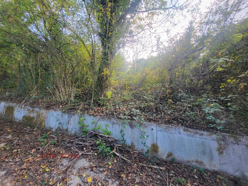 Продава ПАРЦЕЛ, с. Дълбок дол, област Ловеч, снимка 7 - Парцели - 52170810