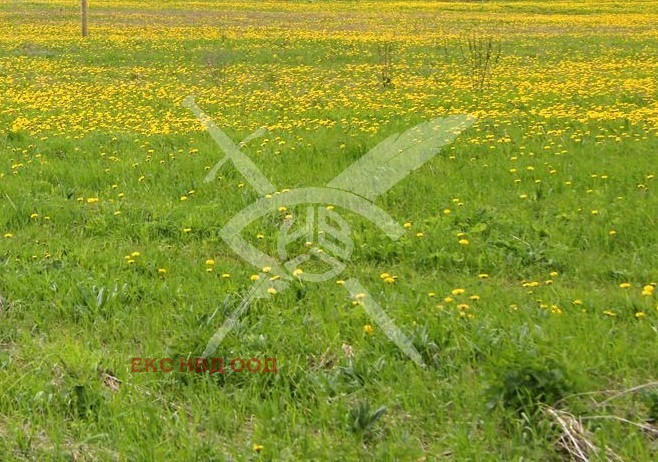 Продава ПАРЦЕЛ, област Пловдив, с. Крумово • 85000 € • 48189951 — Holmes.bg