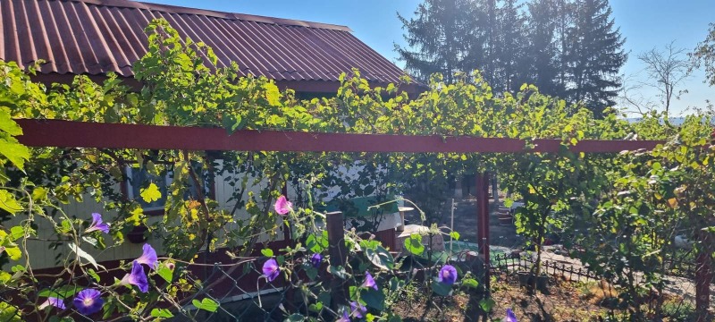 Продава  Вила град Разград , Промишлена зона - Запад , 18 кв.м | 66844365 - изображение [6]