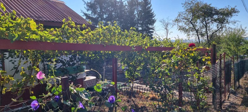 Продава  Вила град Разград , Промишлена зона - Запад , 18 кв.м | 66844365 - изображение [10]