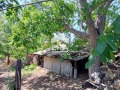 Продава  Къща град Кърджали , Горна Гледка , 72 кв.м | 21591803 - изображение [6]