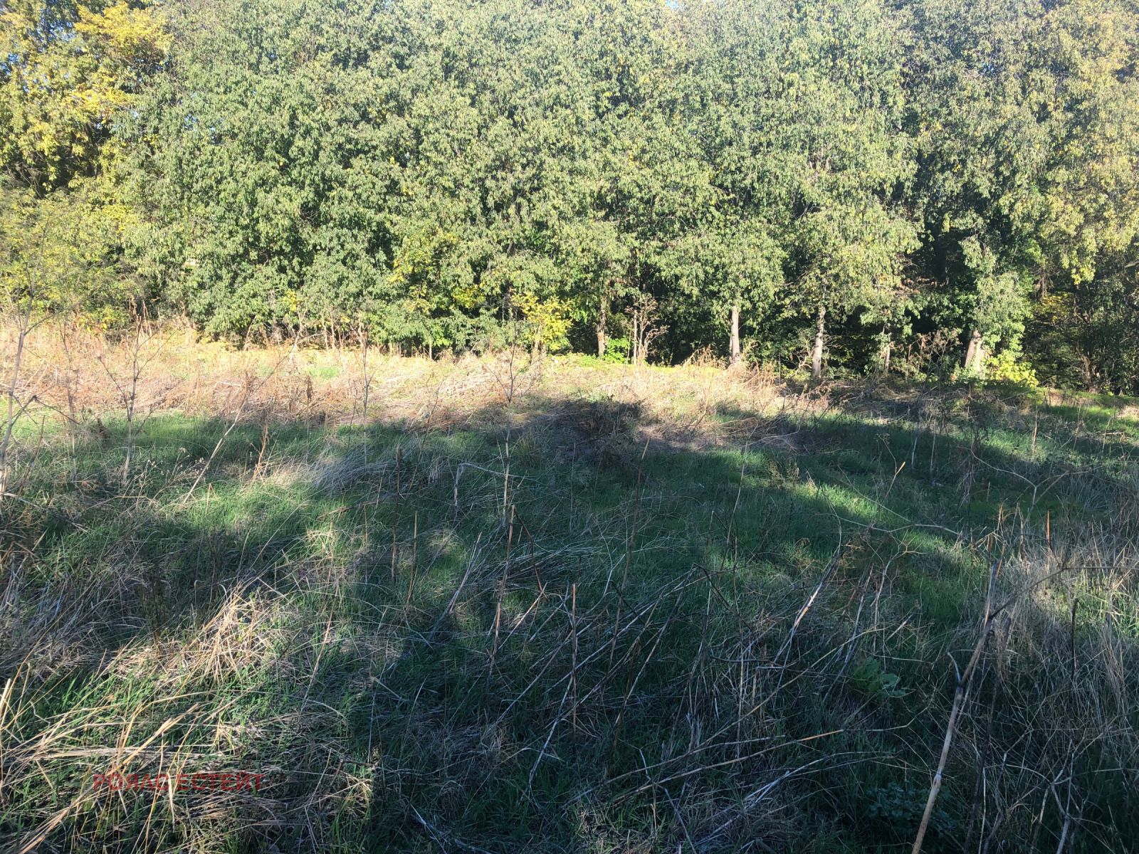 ������� ������ | Imot.bg � ����������� 7