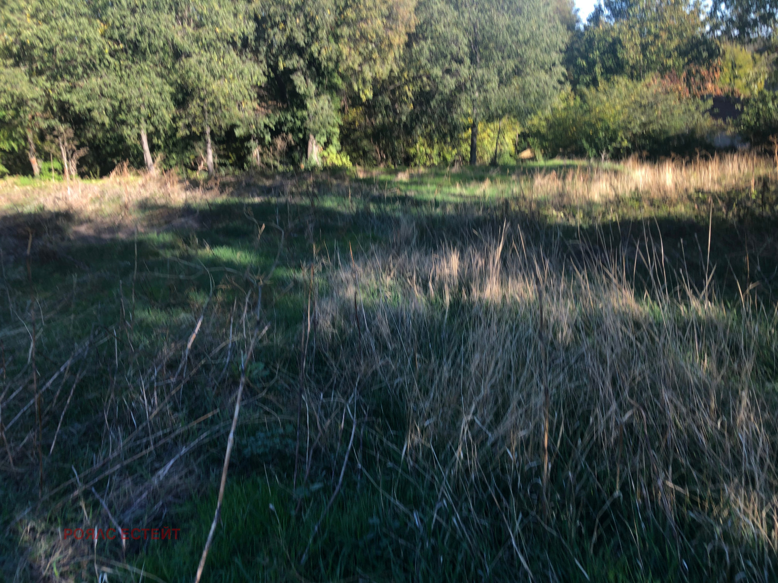 ������� ������ | Imot.bg � ����������� 8