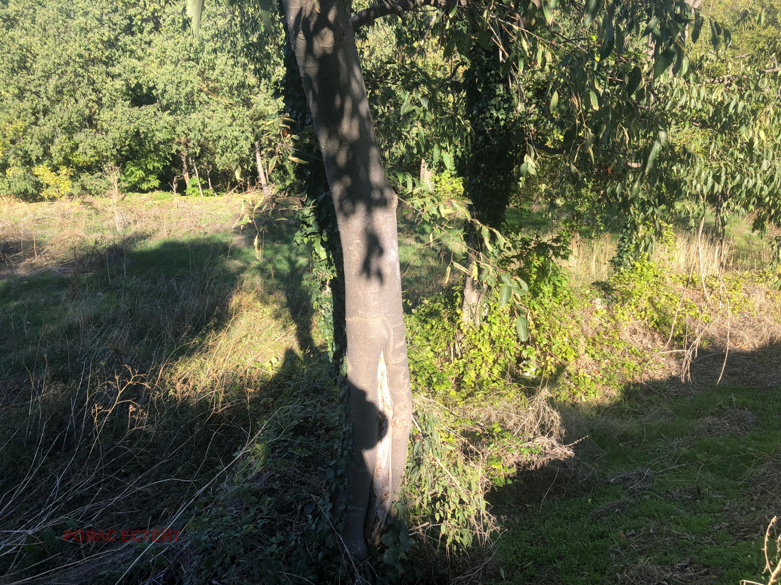 ������� ������ | Imot.bg � ����������� 6