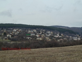 ����� ������� ����,�. ������, ������ �����