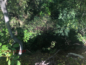 ������� ������ | Imot.bg � ����� ������ 5