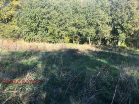 ������� ������ | Imot.bg � ����� ������ 7