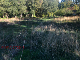 ������� ������ | Imot.bg � ����� ������ 8