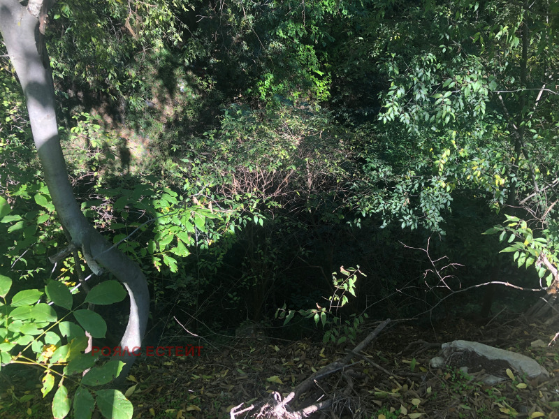 Продава ПАРЦЕЛ, с. Хрищени, област Стара Загора, снимка 4 - Парцели - 52398646