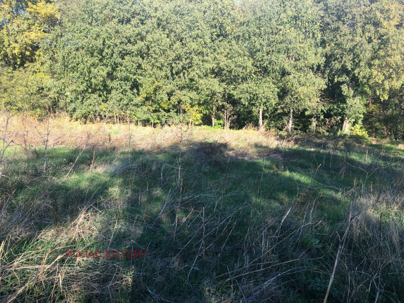 Продава ПАРЦЕЛ, с. Хрищени, област Стара Загора, снимка 6 - Парцели - 52398646