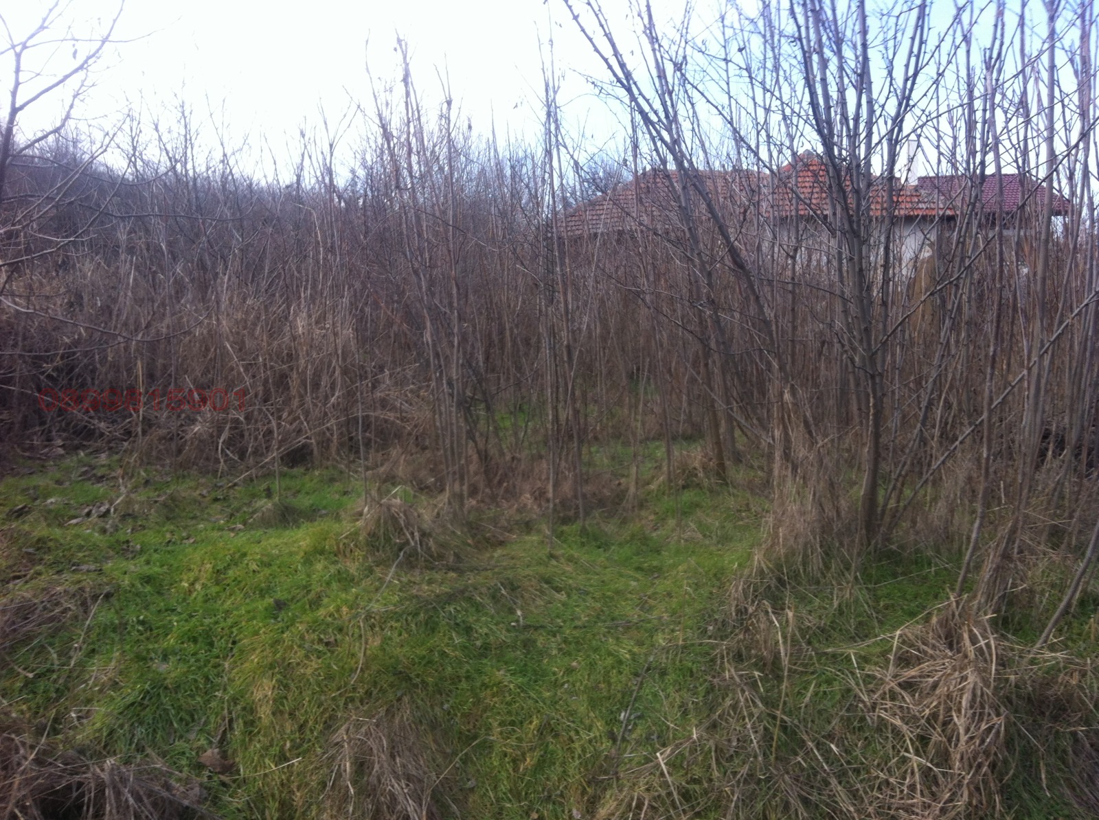 Продава ПАРЦЕЛ, гр. Козлодуй, област Враца, снимка 6 - Парцели - 53922771