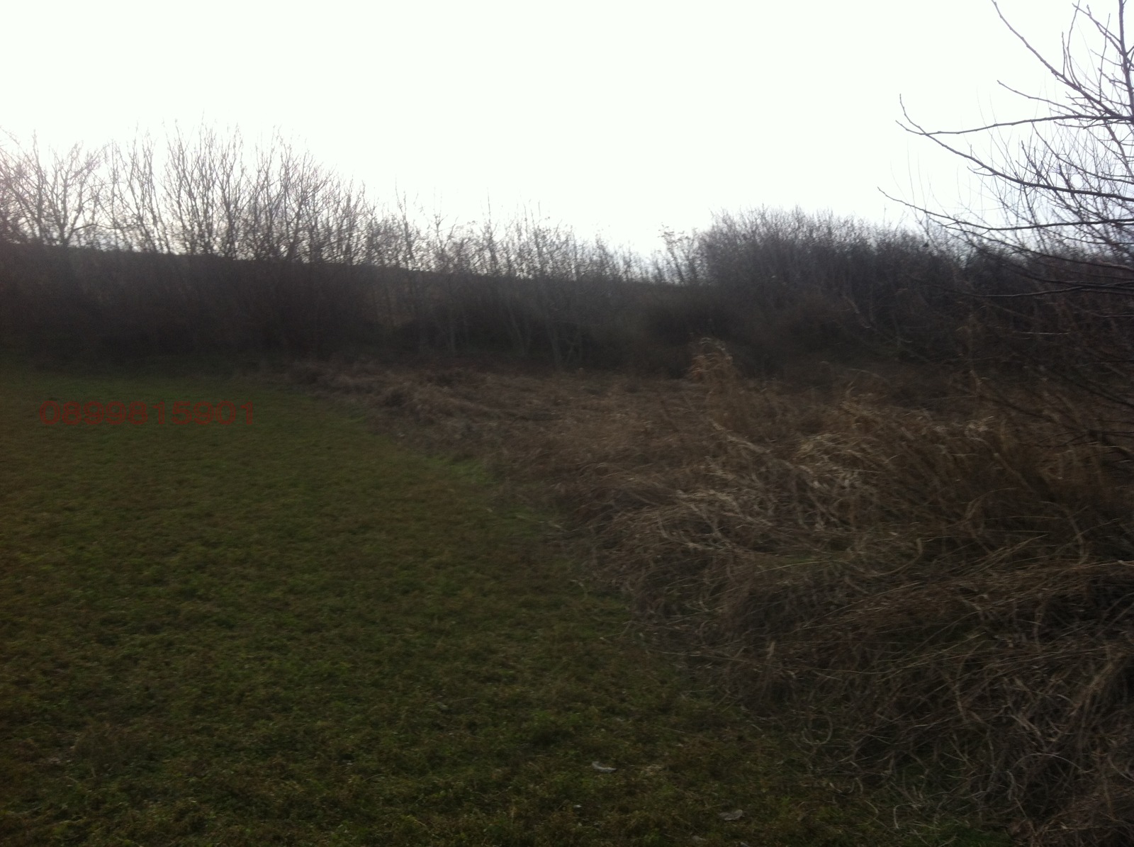 Продава ПАРЦЕЛ, гр. Козлодуй, област Враца, снимка 7 - Парцели - 53922771