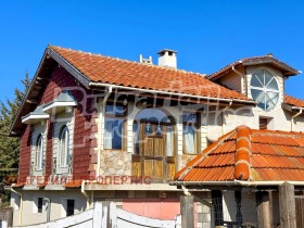 ������ ������� ����