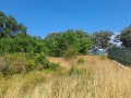 Продава ПАРЦЕЛ, град Варна, м-т Перчемлията • 110000 € • 54728799 — Holmes.bg
