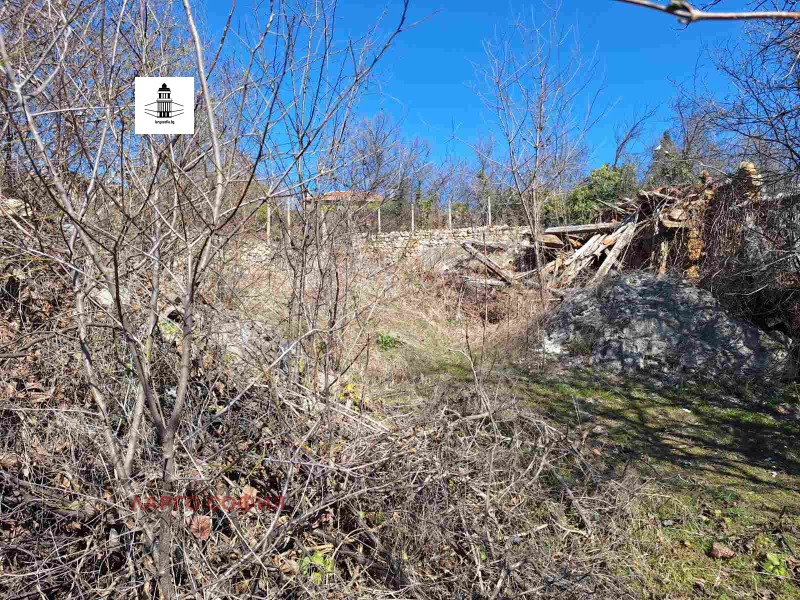 Продава ПАРЦЕЛ в област Пазарджик, с. Церово - 600 кв.м / 15 999 € » 31 291.32 лв., ЛАРГО СОФИЯ