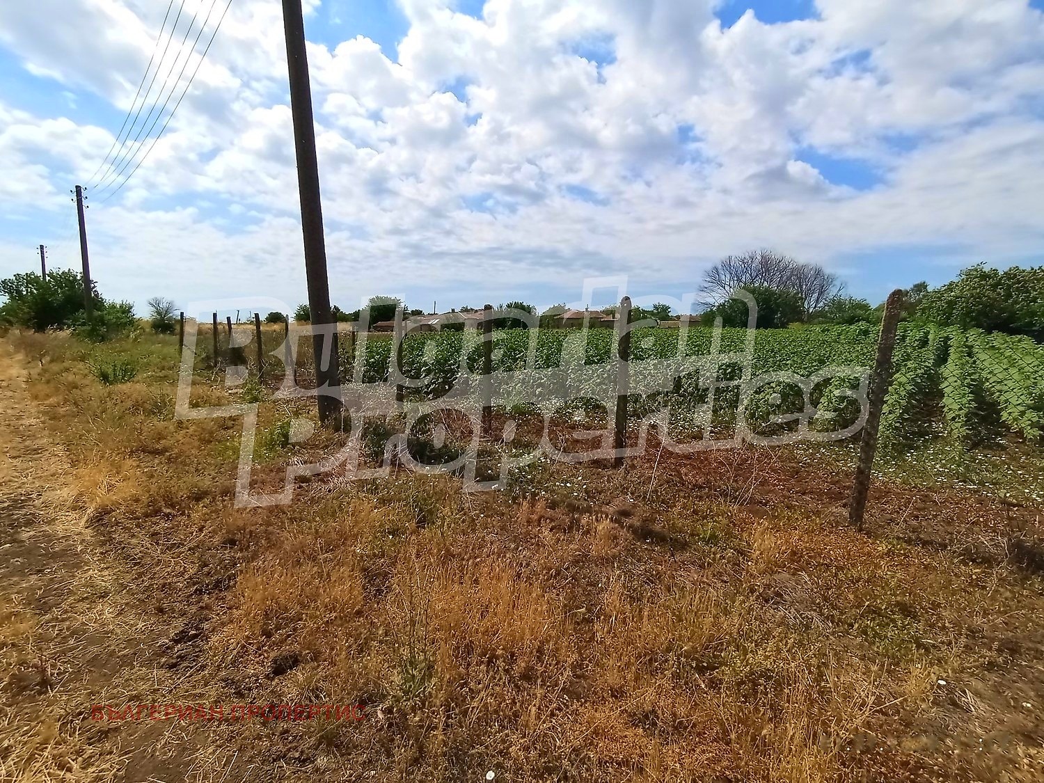 ������� ������ | Imot.bg � ����������� 5