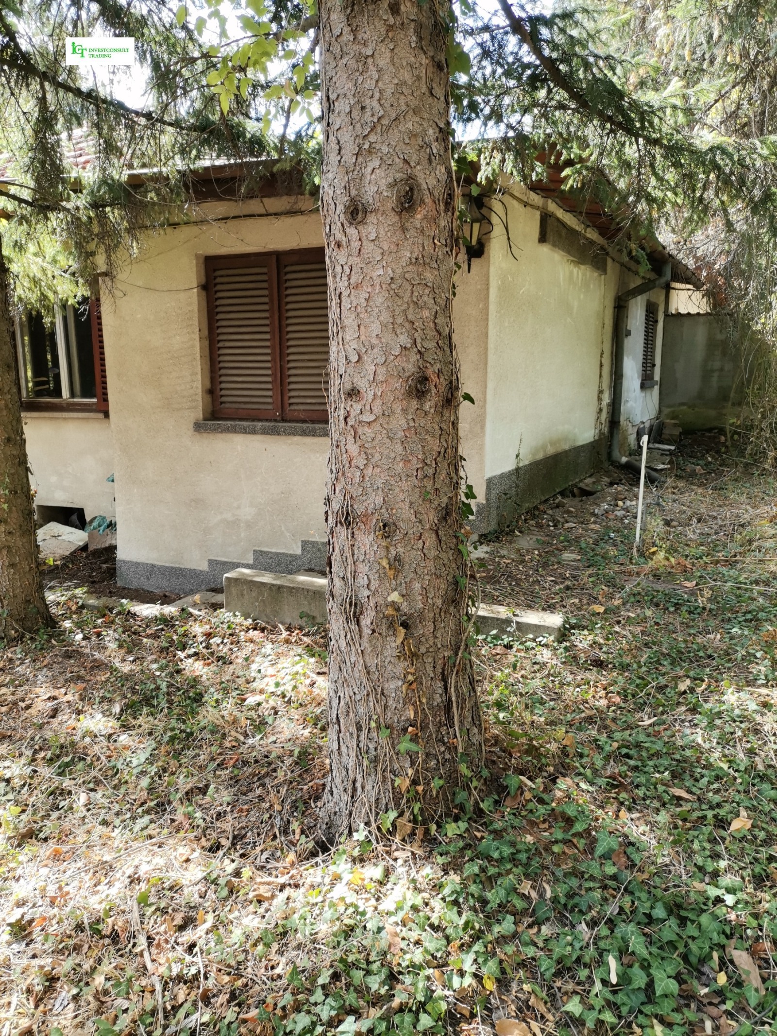 ������� ������ | Imot.bg � ����������� 12