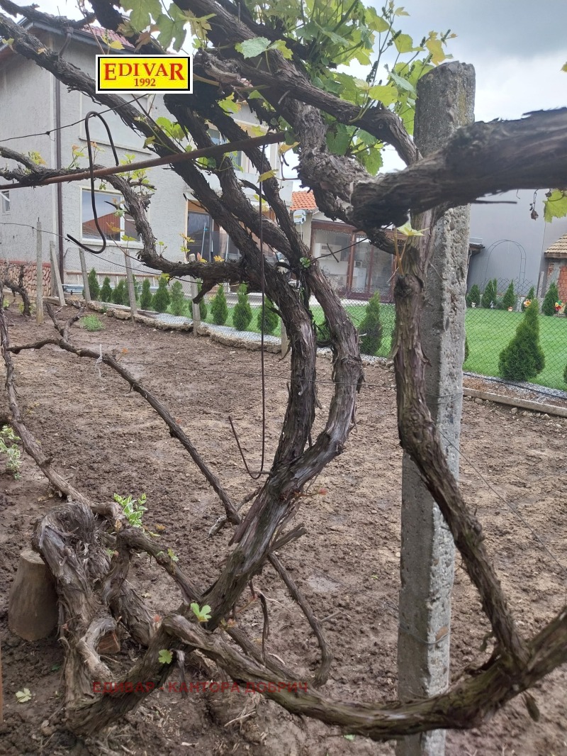 Προς πώληση  σπίτι περιοχή Dobrich , Τερβελ , 108 τ.μ | 56715826 - εικόνα [12]