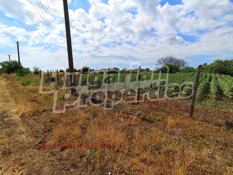 Продава ПАРЦЕЛ, гр. Шабла, област Добрич, снимка 4 - Парцели - 53281077