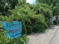 Продава ПАРЦЕЛ, гр. София, гр. Банкя, снимка 12