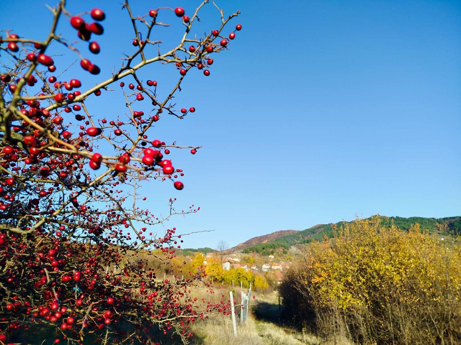 ������� ������ | Imot.bg � ����������� 1