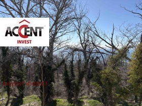 ����� ������� 3-�����,���� �����, �-� �����������>