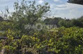 Продава КЪЩА, с. Борец, област Пловдив, снимка 7
