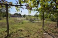 Продава КЪЩА, с. Борец, област Пловдив, снимка 13