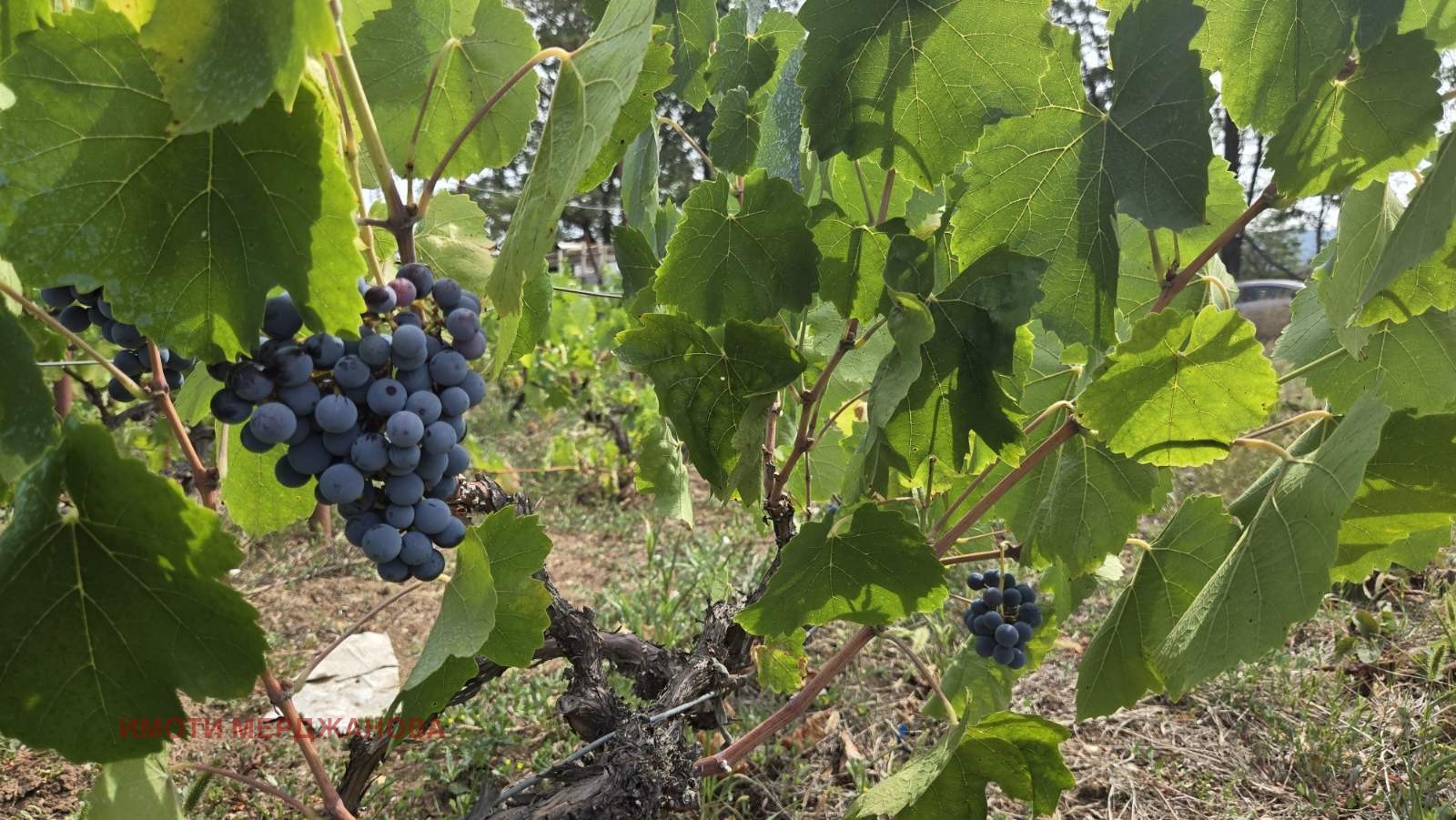 Продава КЪЩА | Imot.bg — изображение 14