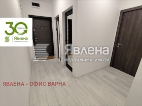 ����� ������� 3-�����,���� �����, ������� 2