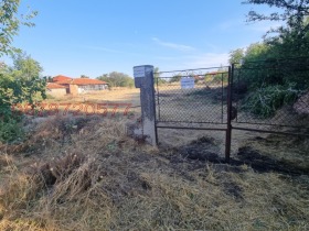 ����� ������� ������,�. ���������, ������ �������