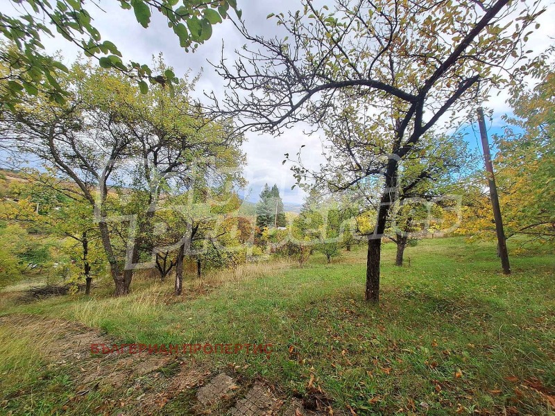 Продава КЪЩА, с. Дяково, област Кюстендил, снимка 13 - Къщи - 52089692