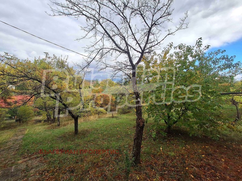 Продава КЪЩА, с. Дяково, област Кюстендил, снимка 3 - Къщи - 52089692