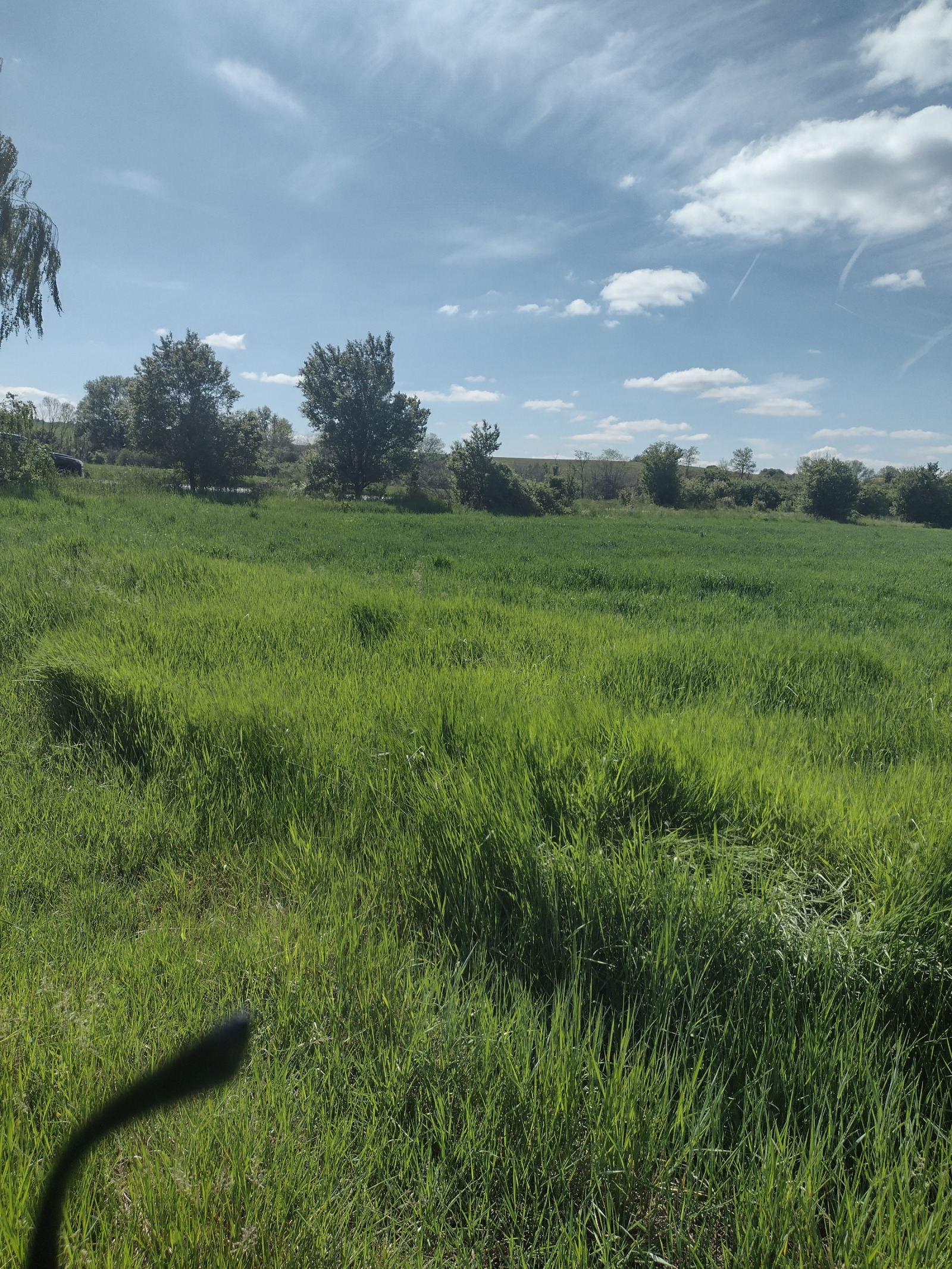 Продава ПАРЦЕЛ, с. Голяновци, област София област, снимка 6 - Парцели - 36207900