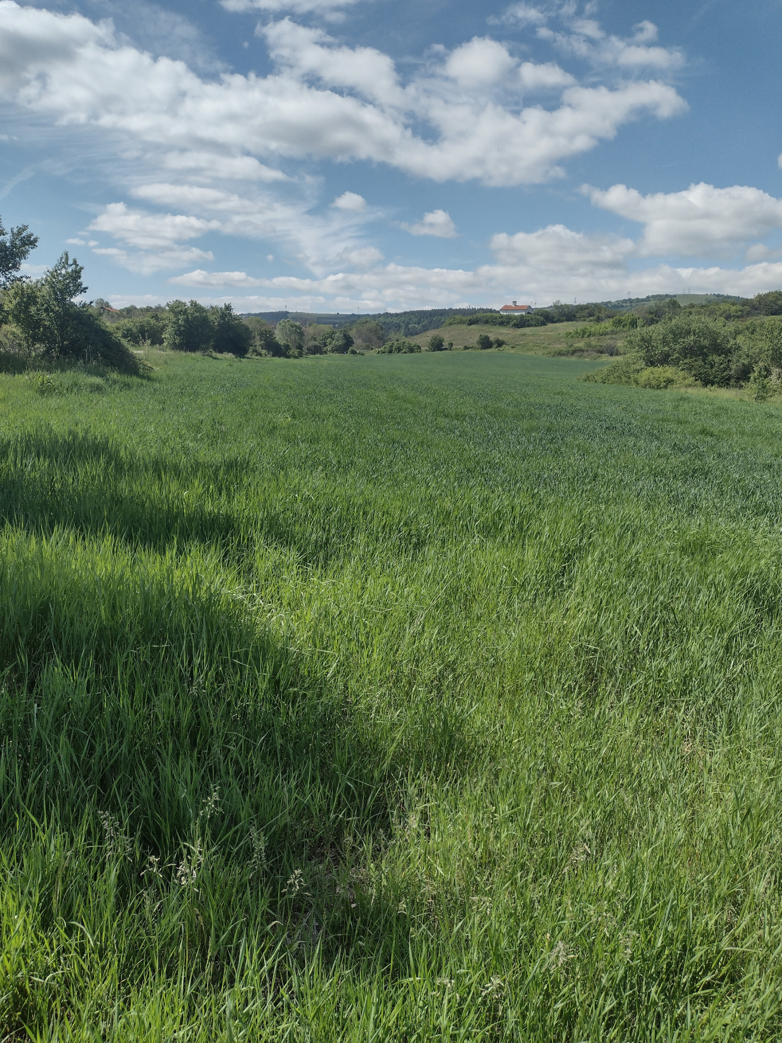Продава ПАРЦЕЛ, с. Голяновци, област София област, снимка 5 - Парцели - 36207900