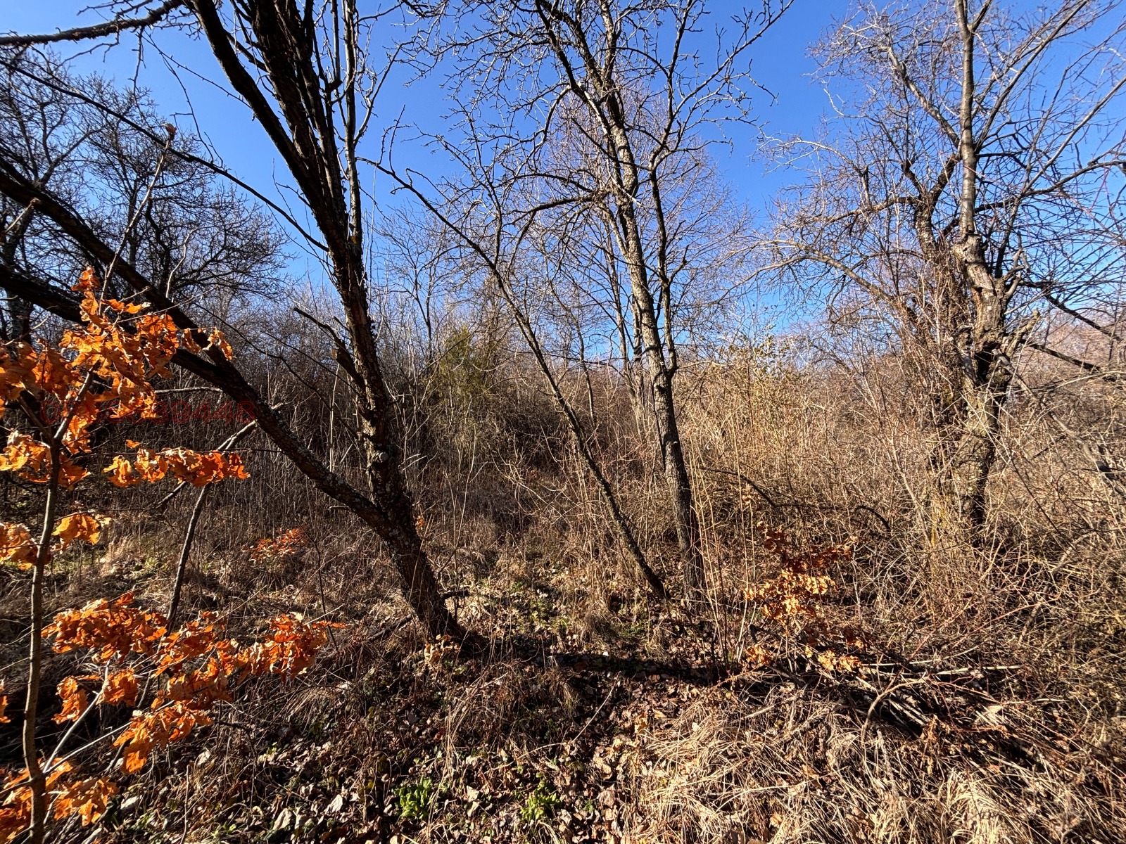 Продава ПАРЦЕЛ, с. Кралев дол, област Перник, снимка 13 - Парцели - 53892520