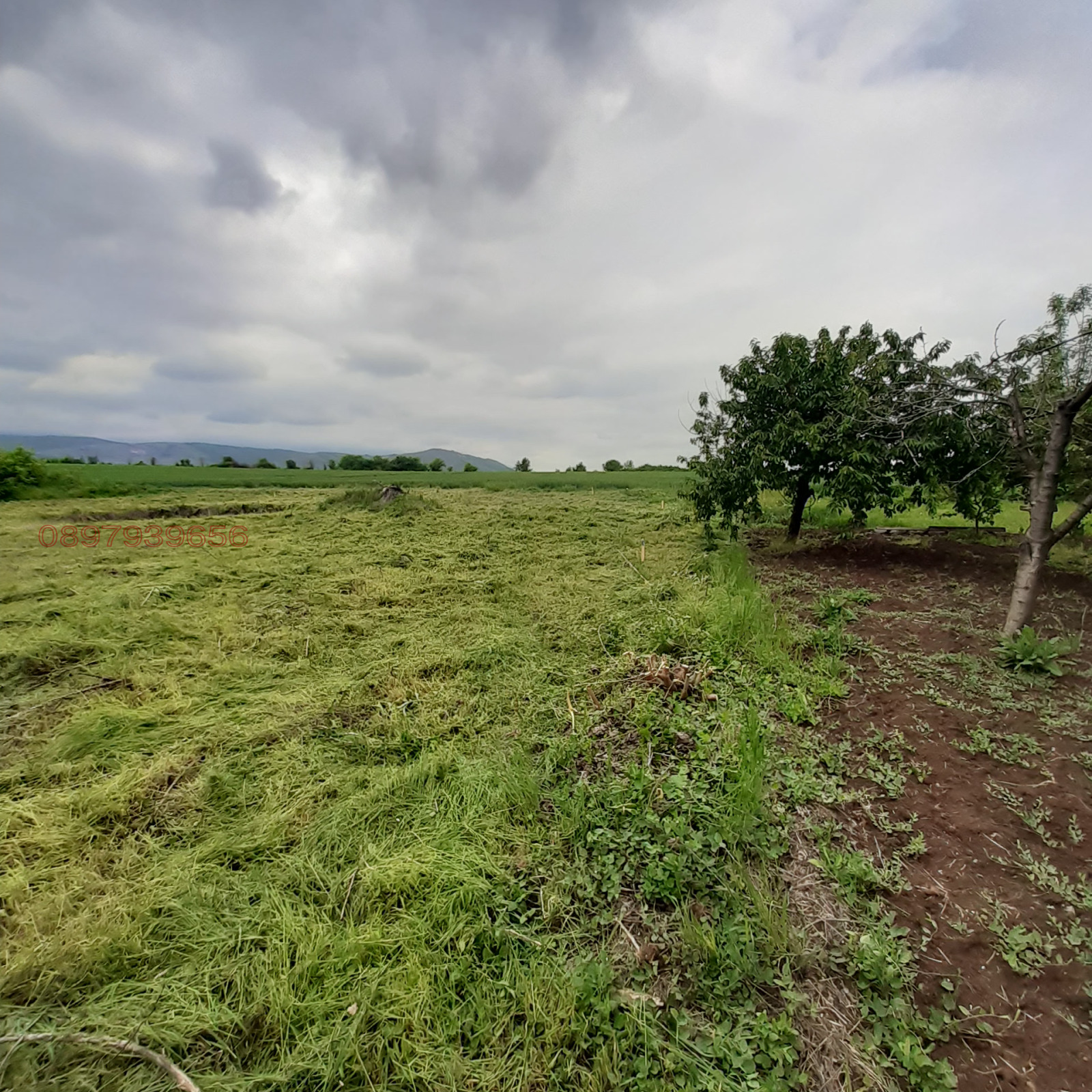 Продава ПАРЦЕЛ, с. Капитан Димитриево, област Пазарджик, снимка 5 - Парцели - 54366882