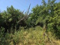 Продава КЪЩА, област Шумен, с. Ивански • 60000 лв. • 14964275 — Holmes.bg