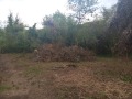 Продава ПАРЦЕЛ, област Ловеч, с. Абланица • 23500 лв. • 80200819 — Holmes.bg