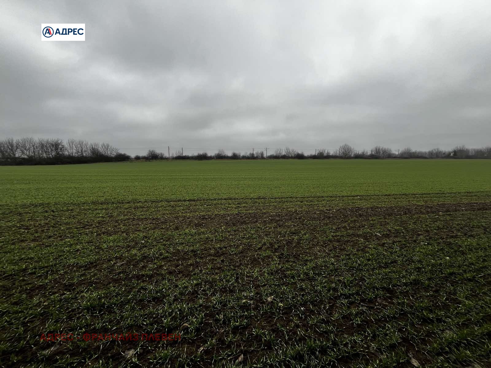 ������� ������ | Imot.bg � ����������� 3