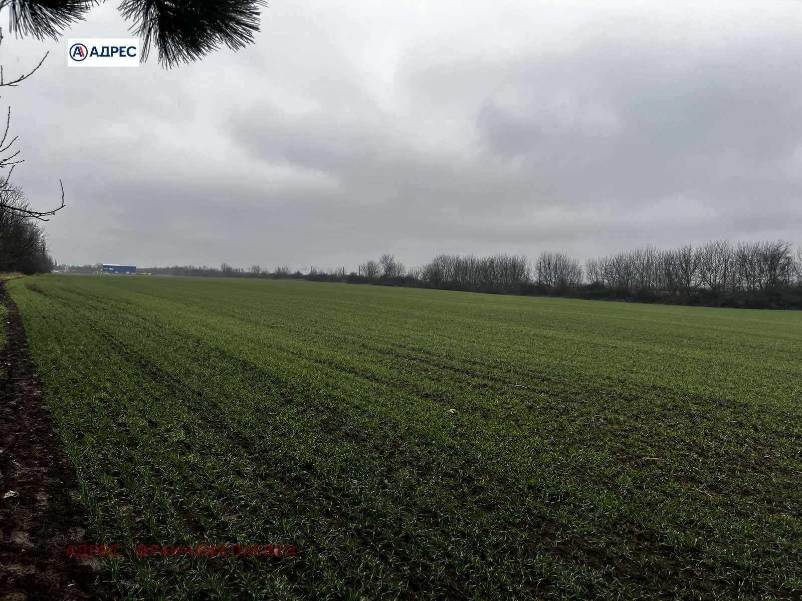 ������� ������ | Imot.bg � ����������� 2