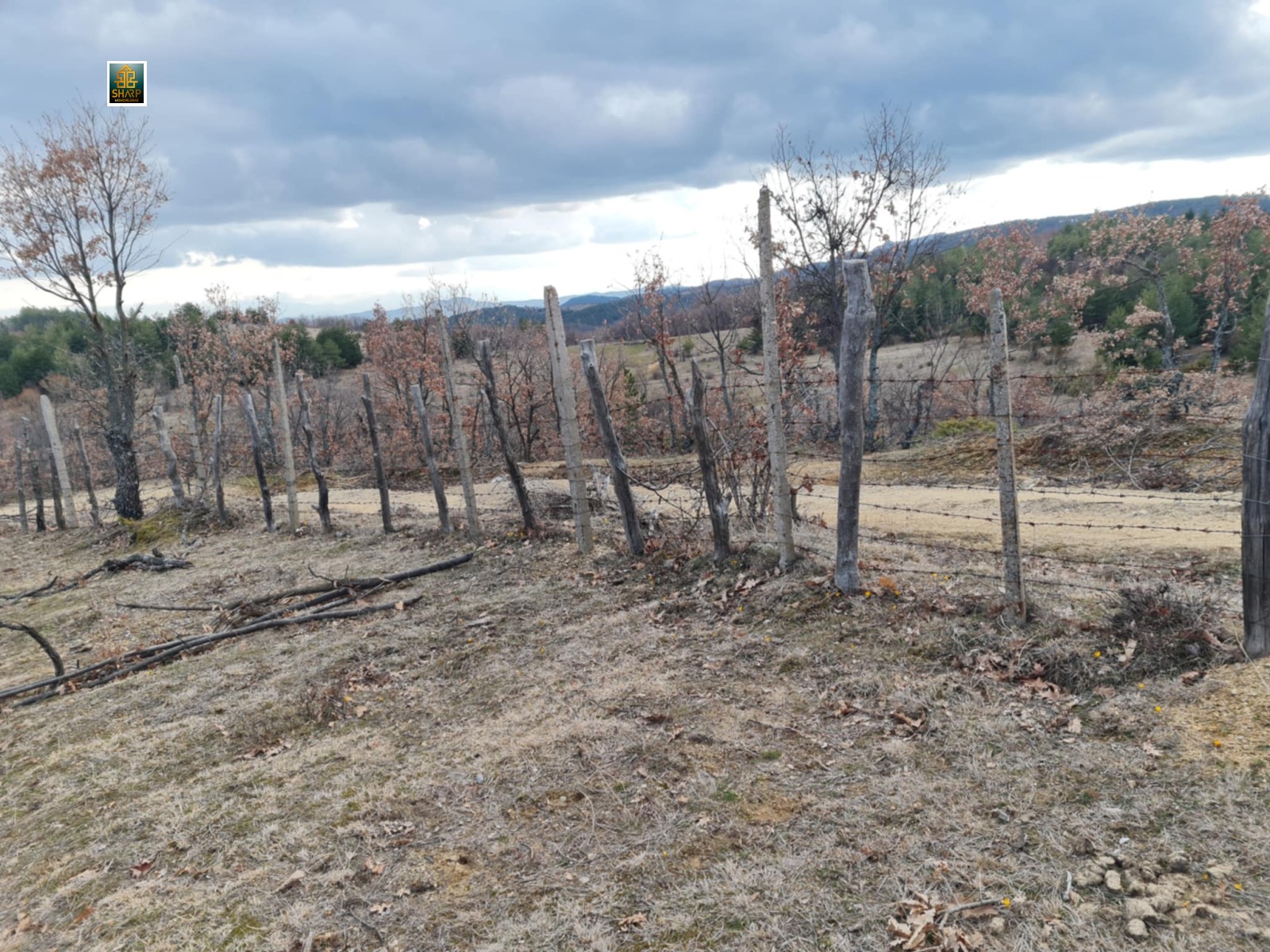 ������� ���������� ���� | Imot.bg � ����������� 7