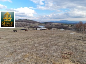 ����� ������� ���������� ����,�. �������, ������ ��������