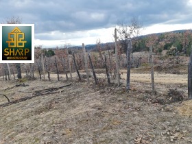 ������� ���������� ���� | Imot.bg � ����� ������ 7